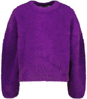 Raizzed meisjes trui Paars - 176