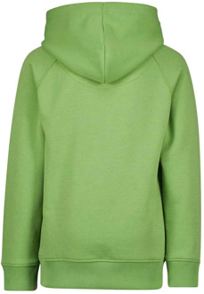 Raizzed Sweater Groen - 110