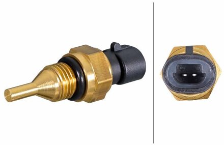 Ram Sensor, koelvloeistoftemperatuur 6PT358385191