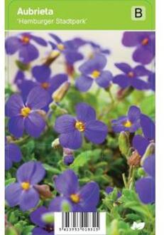 Randjesbloem (aubrieta "Hamburger Stadtpark") voorjaarsbloeier - 12 stuks