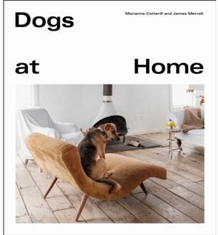 Random House Uk Dogs At Home - Marianne Cotterill