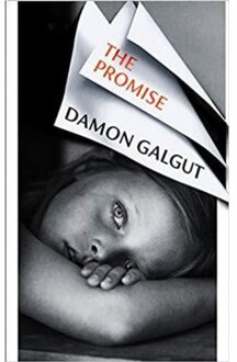 Random House Uk The Promise - Damon Galgut