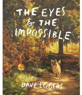 Random House Us The Eyes And The Impossible - Dave Eggers