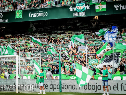 Rapid Vienna vs TSV Hartberg (Bundesliga AT) (Eigen vervoer)