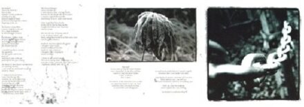 Rapture - Rapture - Songs For The Withering (CD) | CD