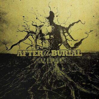 Rareform (Coloured Vinyl)