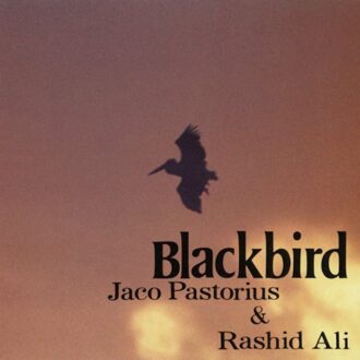 Ras Blackbird - Jaco Pastorius & Rashied Ali