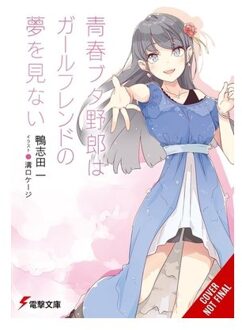 Rascal Does Not Dream Of His Girlfriend (Light Novel) - Rascal Does Not Dream (Light Novel) - Andrew Cunningham
