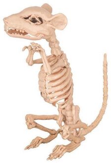 Rat Skelet Wit - Transparant