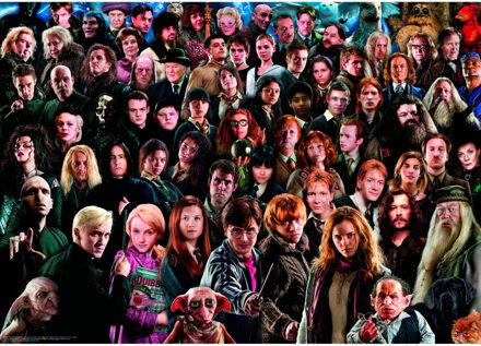 Ravensburger challenge puzzel Harry Potter - 1000 stukjes