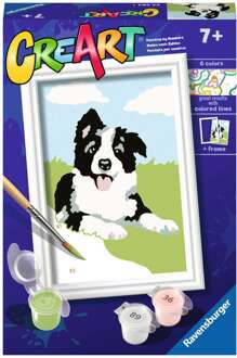 Ravensburger Creart Schilderen Op Nummer Border Collie