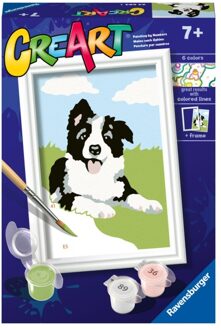 Ravensburger Creart Schilderen Op Nummer Border Collie