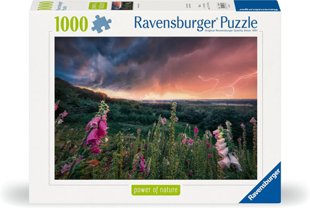 Ravensburger Dreamy Thunder Puzzel (1000 stukjes)