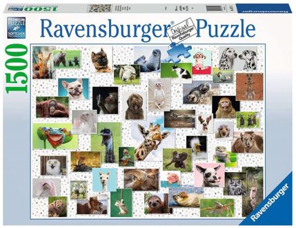 Ravensburger Funny Animals Puzzel (1500 stukjes)