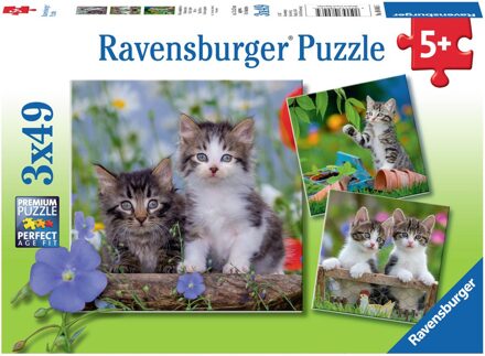 Ravensburger puzzel katten - 3 x 49 stukjes Multikleur