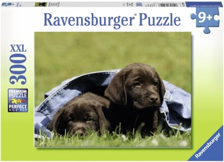 Ravensburger puzzel Labradorpups - 300 stukjes