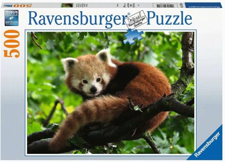 Ravensburger Schattige Rode Panda Puzzel (500 stukjes)