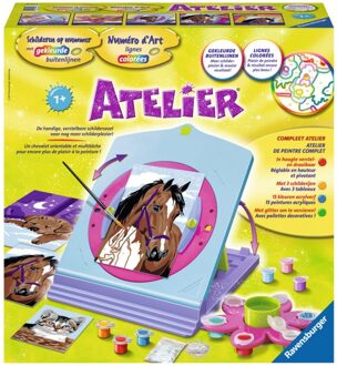 Ravensburger Schilderen op Nummer Atelier