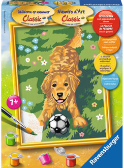 Ravensburger Schilderen op nummer Classic: Hond met voetbal