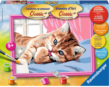 Ravensburger schilderen op nummer Knuffelkatje