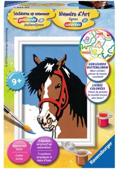 Ravensburger Schilderen op Nummer paardenblik - set Multikleur