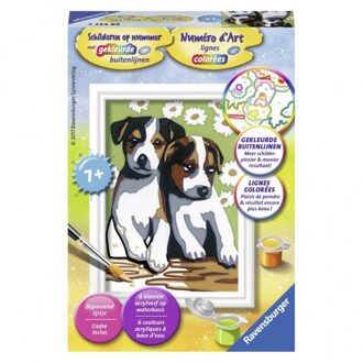 Ravensburger Schilderen Op Nummer Schattige Puppies Multikleur