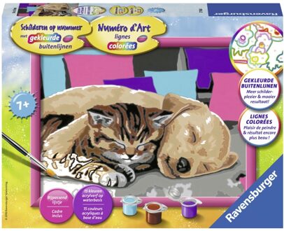 Ravensburger Schilderen Op Nummer Slapende Vrienden