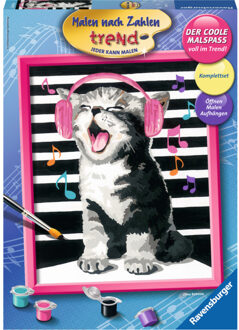 Ravensburger Schilderen Op Nummer Zingende Kat