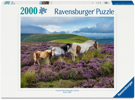 Ravensburger Wild Horses in the Heather Puzzel (2000 stukjes)