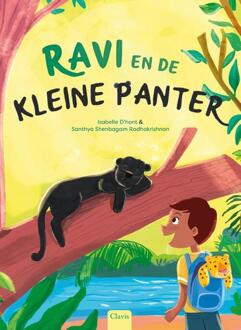 Ravi en de kleine panter -  Isabelle d'Hont (ISBN: 9789044859461)