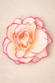 Ravishing rose haarclip in roze