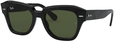 Ray-Ban Black Zonnebril RB21869013149