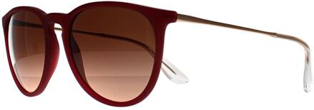 Ray-Ban RB4171 Erika 6815A5 gepolijst rubber violet roze gradiënt bruin zonnebril Paars