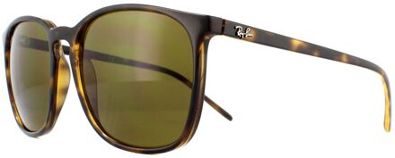 Ray-Ban RB4387 710/73 56mm