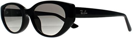 Ray-Ban RB4457D Bio Based 667711 gepolijste zwart grijs gradiënt zonnebril - maat