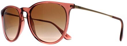 Ray-Ban Ronde Dames Transparant Lichtbruin Bruin Gradiënt RB4171 Erika