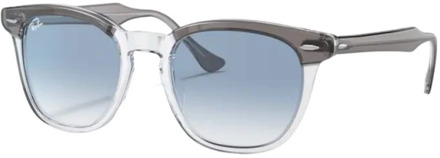Ray-Ban Stijlvolle zonnebril Ray-Ban , Gray , Unisex - 50 MM