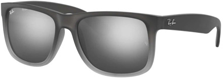 Ray-Ban zonnebril 0RB4165 Grijs - 55