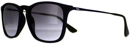 Ray-Ban zonnebril 0RB4171 Bruin - 000
