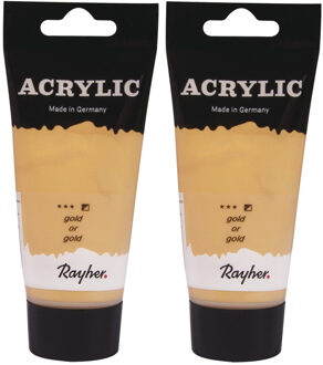 Rayher hobby materialen 2x tubes gouden acrylverf/hobbyverf op waterbasis 75 ml - Hobbyverf Goudkleurig