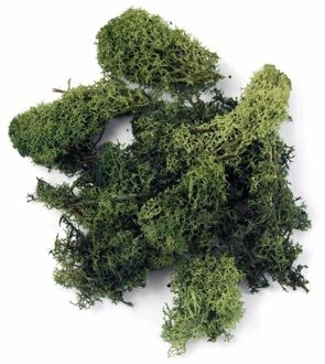 Rayher hobby materialen 3x pakjes decoratie mos donkergroen 100 gram