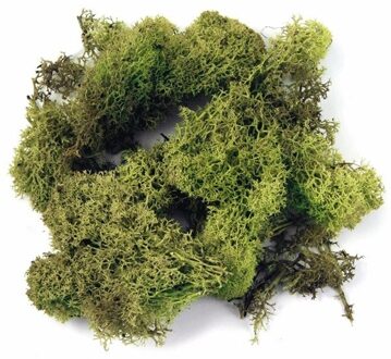 Rayher hobby materialen 3x zakjes decoratie mos lichtgroen 100 gram