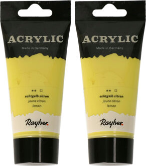 Rayher hobby materialen Acrylverf/hobbyverf op waterbasis - 2x - geel - 75 ml - Schilderen/knutselen