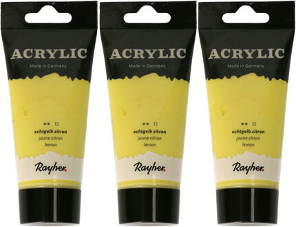 Rayher hobby materialen Acrylverf/hobbyverf op waterbasis - 3x - geel - 75 ml - Schilderen/knutselen