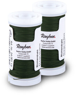Rayher hobby materialen Bloemendraad of ijzerdraad - 2x - groen - 0.35 mm dik - 100 meter snoer - metaaldraad