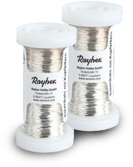 Rayher hobby materialen Bloemendraad of ijzerdraad - 2x - zilver - 0.3 mm dik - 100 meter snoer - metaaldraad