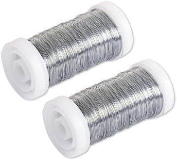 Rayher hobby materialen Bloemendraad of ijzerdraad - 2x - zilver - 0.35 mm dik - 100 meter snoer - metaaldraad