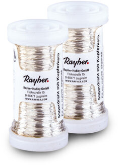 Rayher hobby materialen Bloemendraad of ijzerdraad - 2x - zilver - 0.4 mm dik - 100 meter snoer - metaaldraad