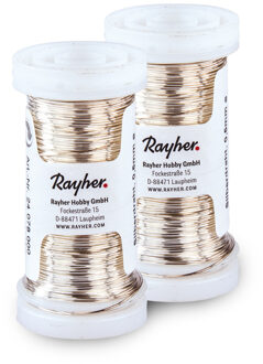 Rayher hobby materialen Bloemendraad of ijzerdraad - 2x - zilver - 0.5 mm dik - 50 meter snoer - metaaldraad