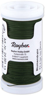 Rayher hobby materialen Bloemendraad of ijzerdraad - groen - 0.35 mm dik - 100 meter snoer - metaaldraad